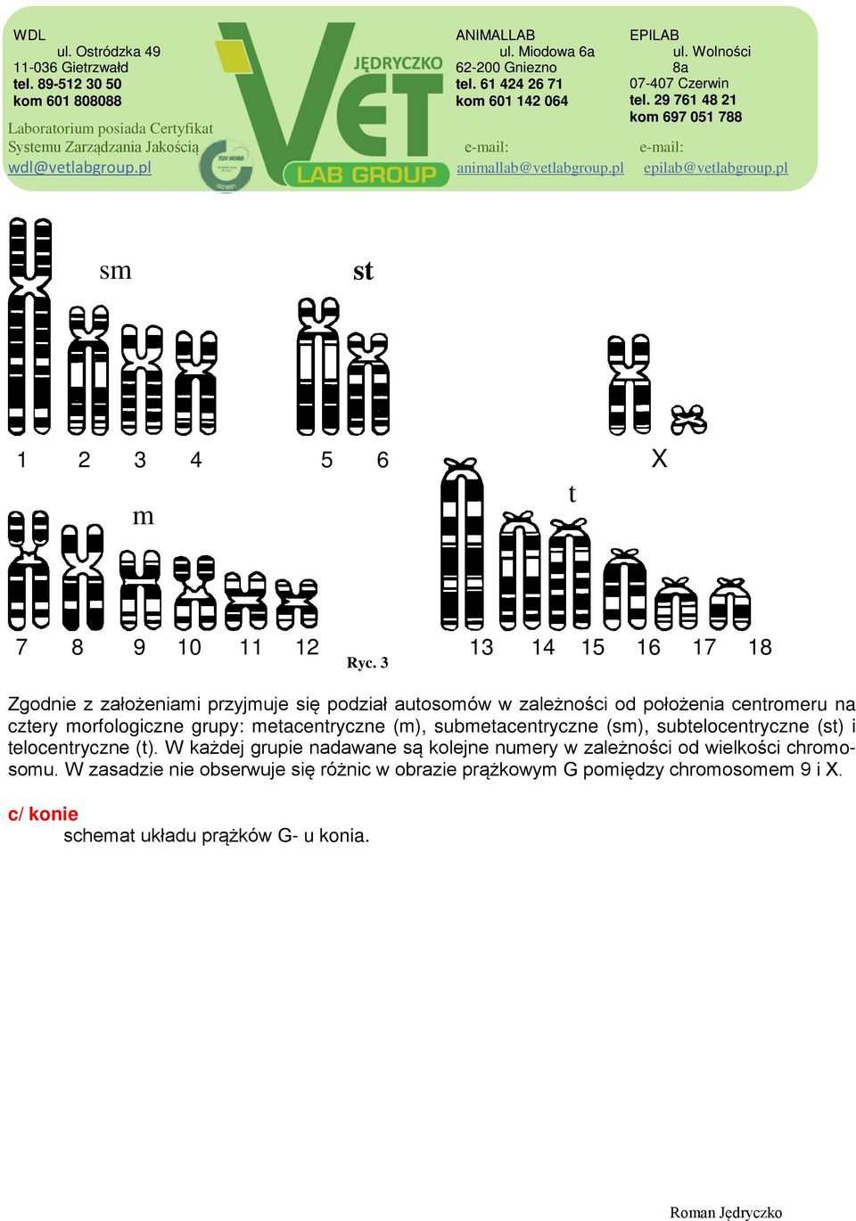 grupy: metacentryczne (m), submetacentryczne (sm), subtelocentryczne (st) i telocentryczne (t).