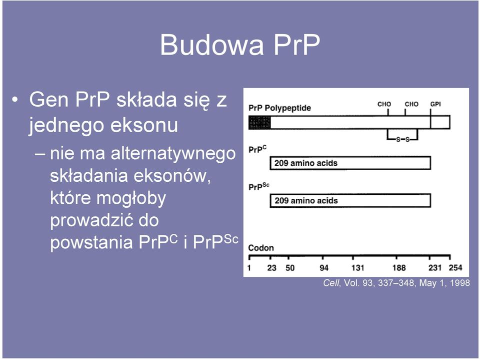 eksonów, które mogłoby prowadzić do