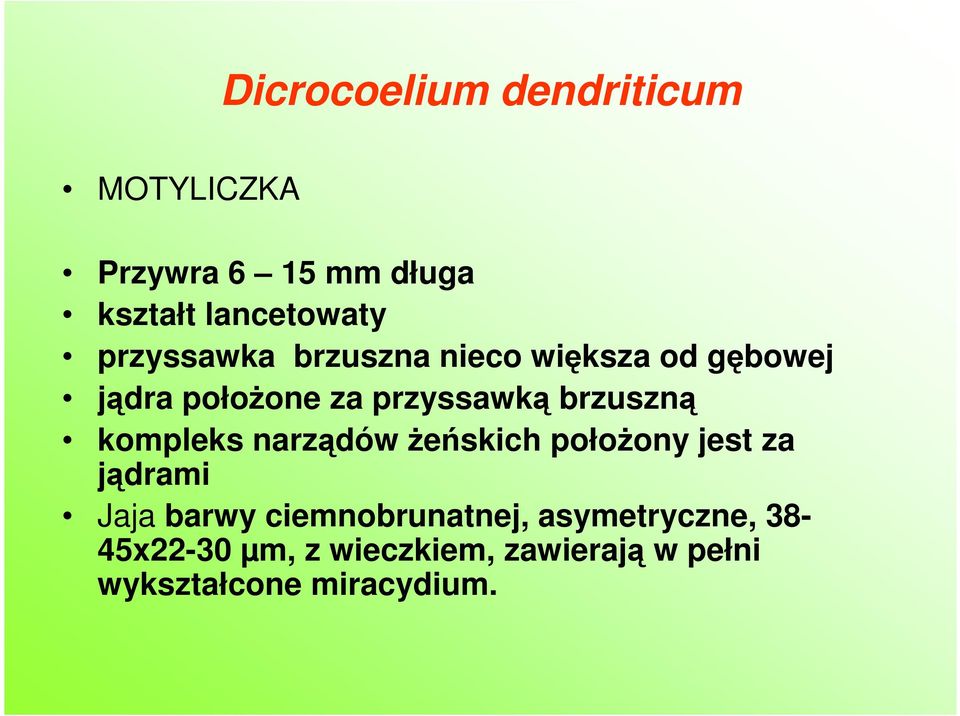 brzuszną kompleks narządów Ŝeńskich połoŝony jest za jądrami Jaja barwy
