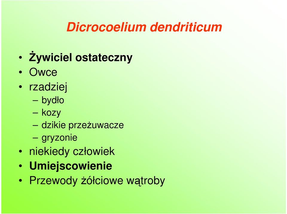 dzikie przeŝuwacze gryzonie niekiedy