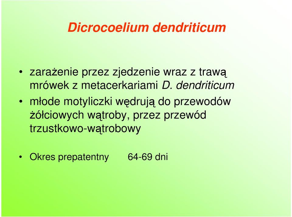 dendriticum młode motyliczki wędrują do przewodów