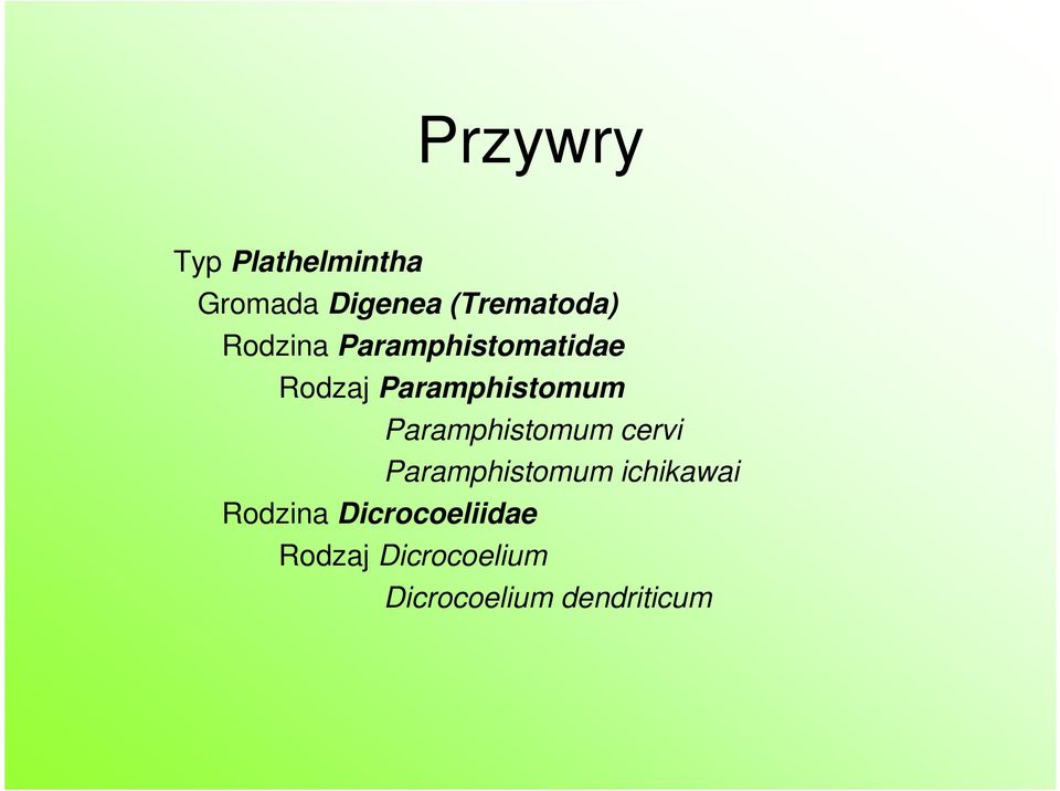 Paramphistomum cervi Paramphistomum ichikawai Rodzina