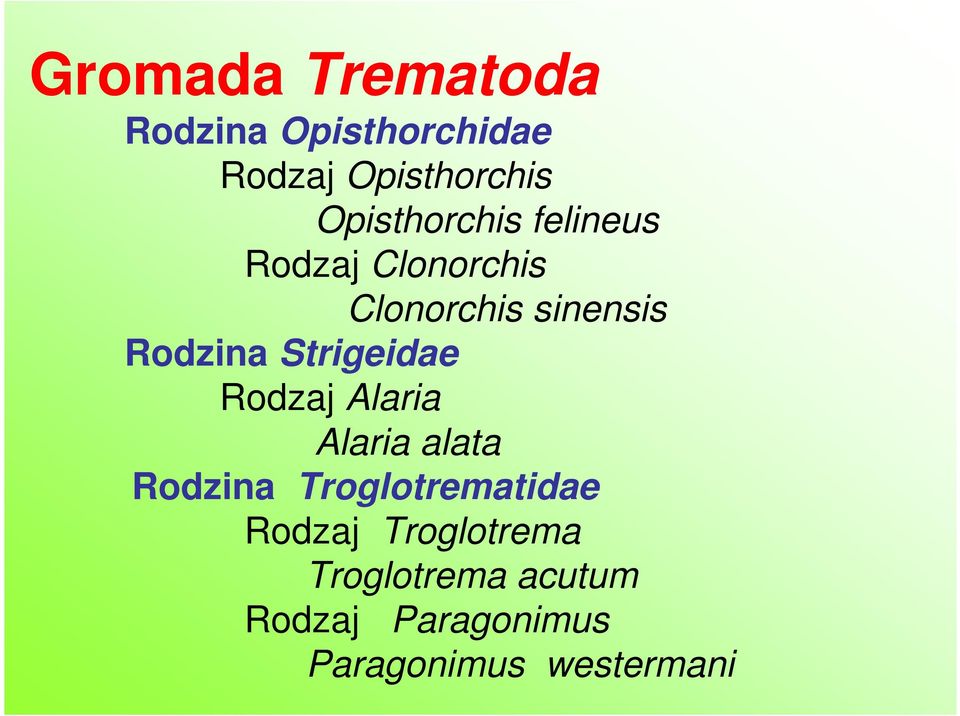 Strigeidae Rodzaj Alaria Alaria alata Rodzina Troglotrematidae