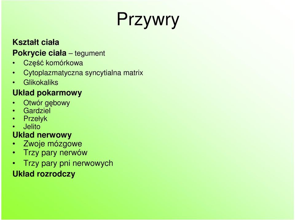 pokarmowy Otwór gębowy Gardziel Przełyk Jelito Układ nerwowy