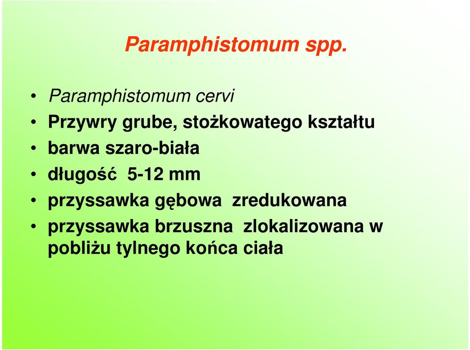 kształtu barwa szaro-biała długość 5-12 mm
