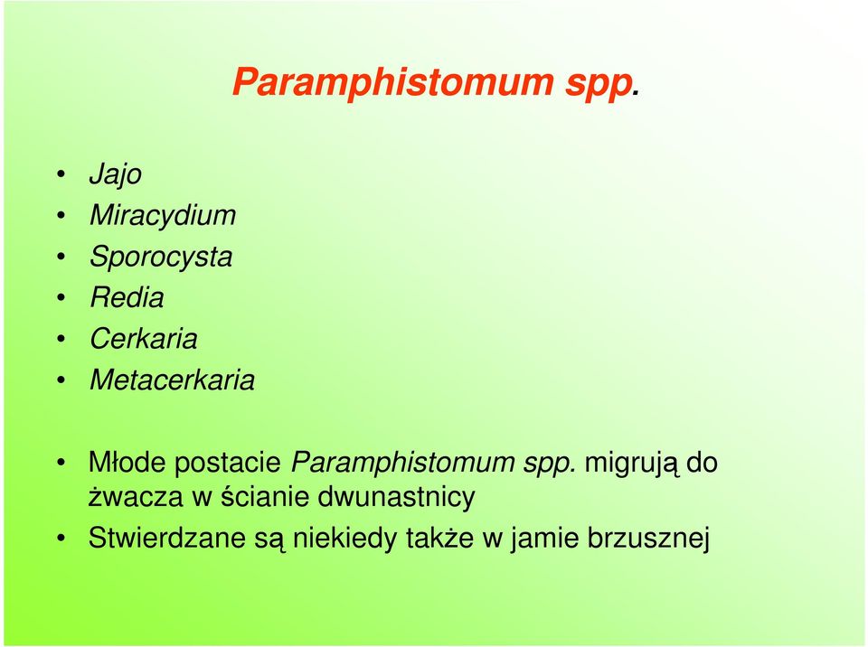 Metacerkaria Młode postacie  migrują do Ŝwacza w