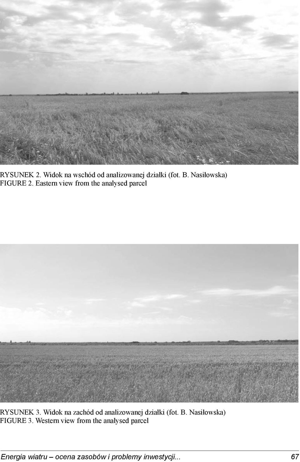 Widok na zachód od analizowanej działki (fot. B. Nasiłowska) FIGURE 3.