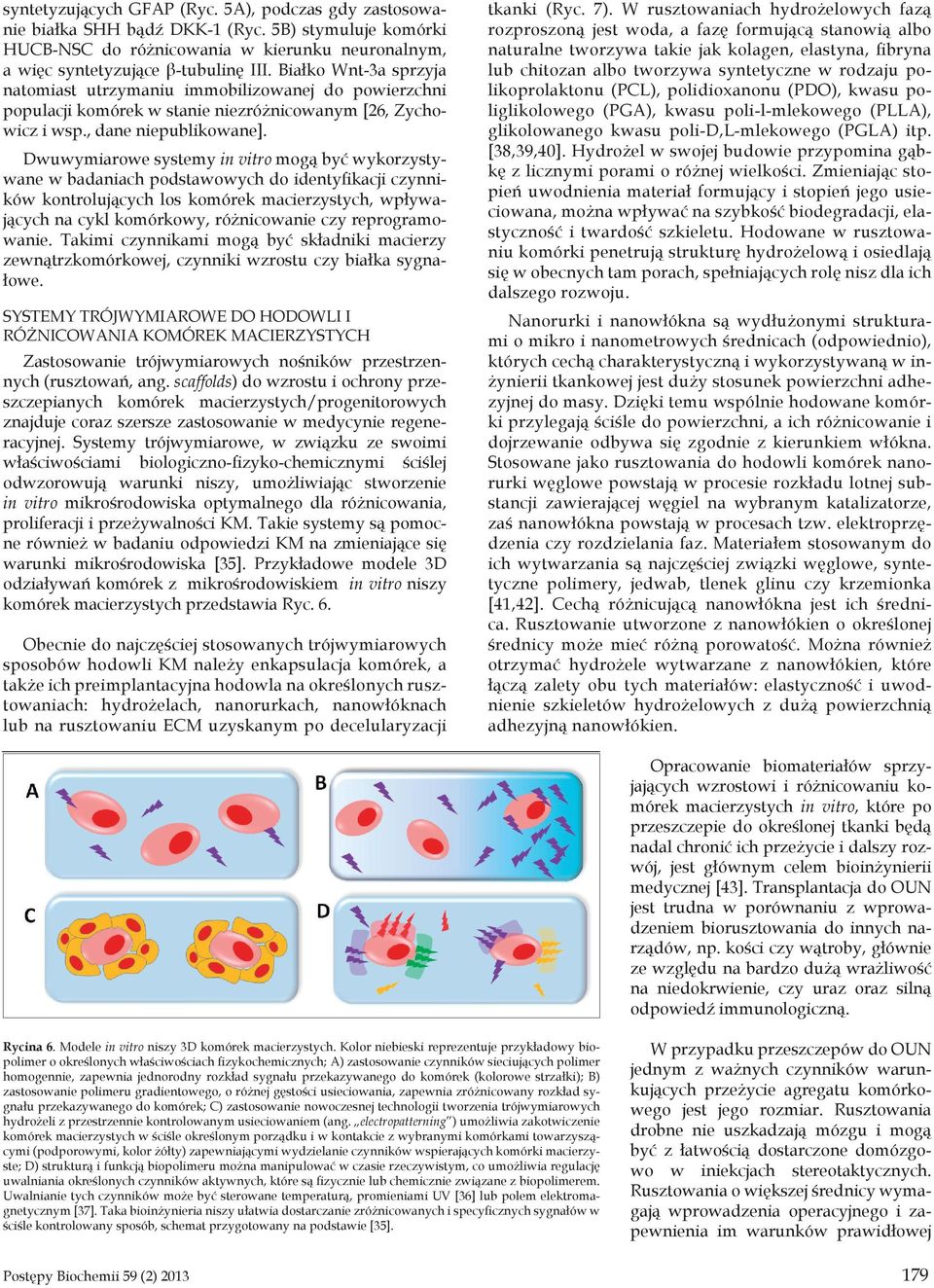 Dwuwymiarowe systemy in vitro mogą być wykorzystywane w badaniach podstawowych do identyfikacji czynników kontrolujących los komórek macierzystych, wpływających na cykl komórkowy, różnicowanie czy