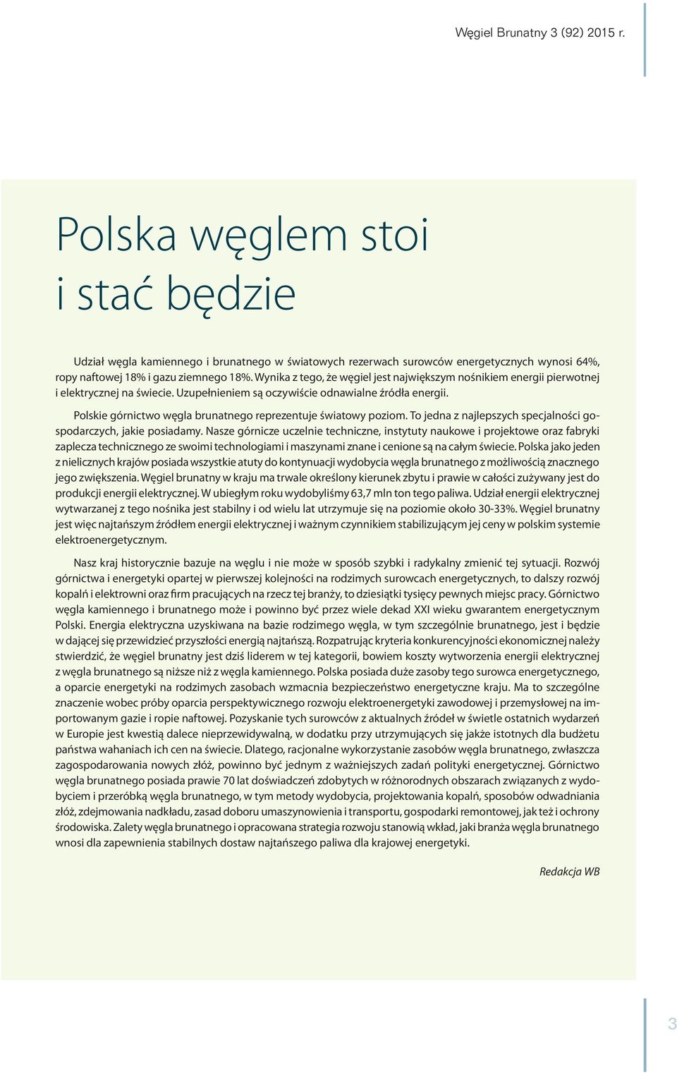 Polskie górnictwo węgla brunatnego reprezentuje światowy poziom. To jedna z najlepszych specjalności gospodarczych, jakie posiadamy.