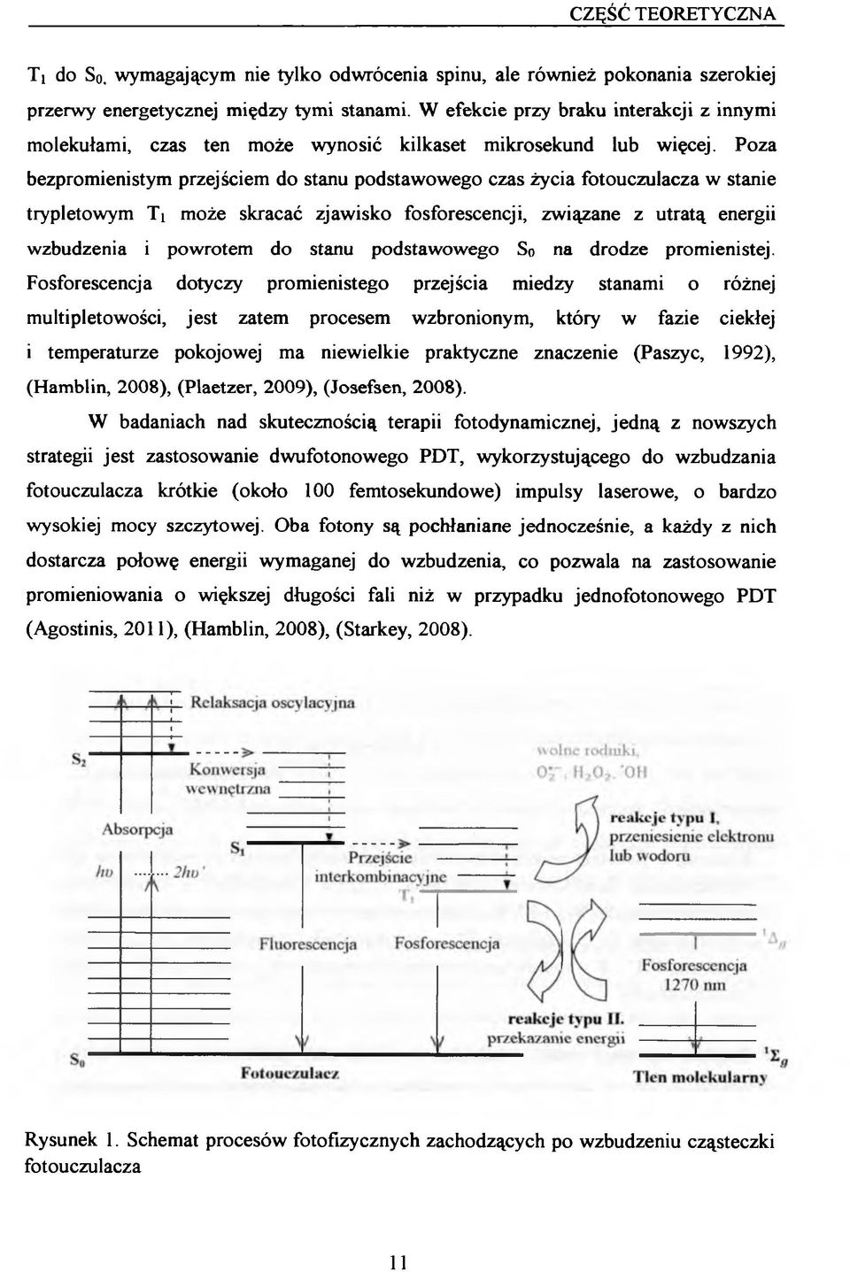Poza bezpromienistym przejściem do stanu podstawowego czas życia fotouczulacza w stanie trypletowym Ti może skracać zjawisko fosforescencji, związane z utratą energii wzbudzenia i powrotem do stanu