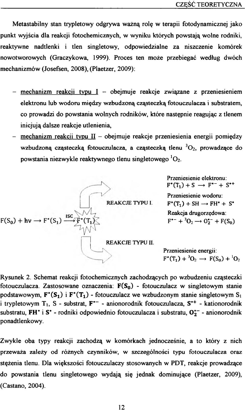 Proces ten może przebiegać według dwóch mechanizmów (Josefsen, 2008), (Plaetzer, 2009): - mechanizm reakcji typu I - obejmuje reakcje związane z przeniesieniem elektronu lub wodoru między wzbudzoną