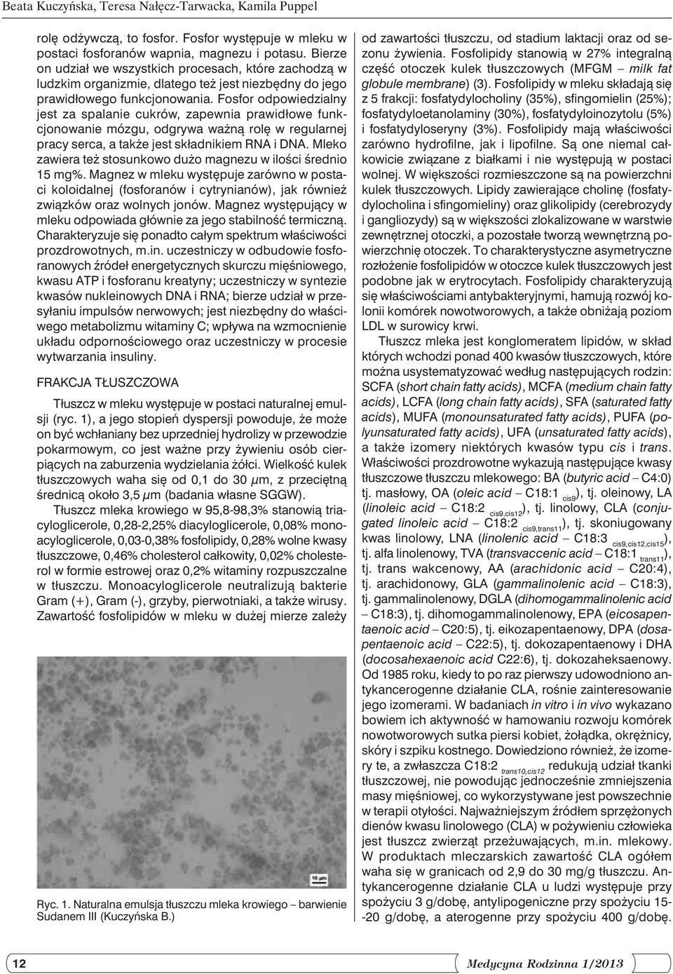 Fosfor odpowiedzialny jest za spalanie cukrów, zapewnia prawidłowe funkcjonowanie mózgu, odgrywa ważną rolę w regularnej pracy serca, a także jest składnikiem RNA i DNA.