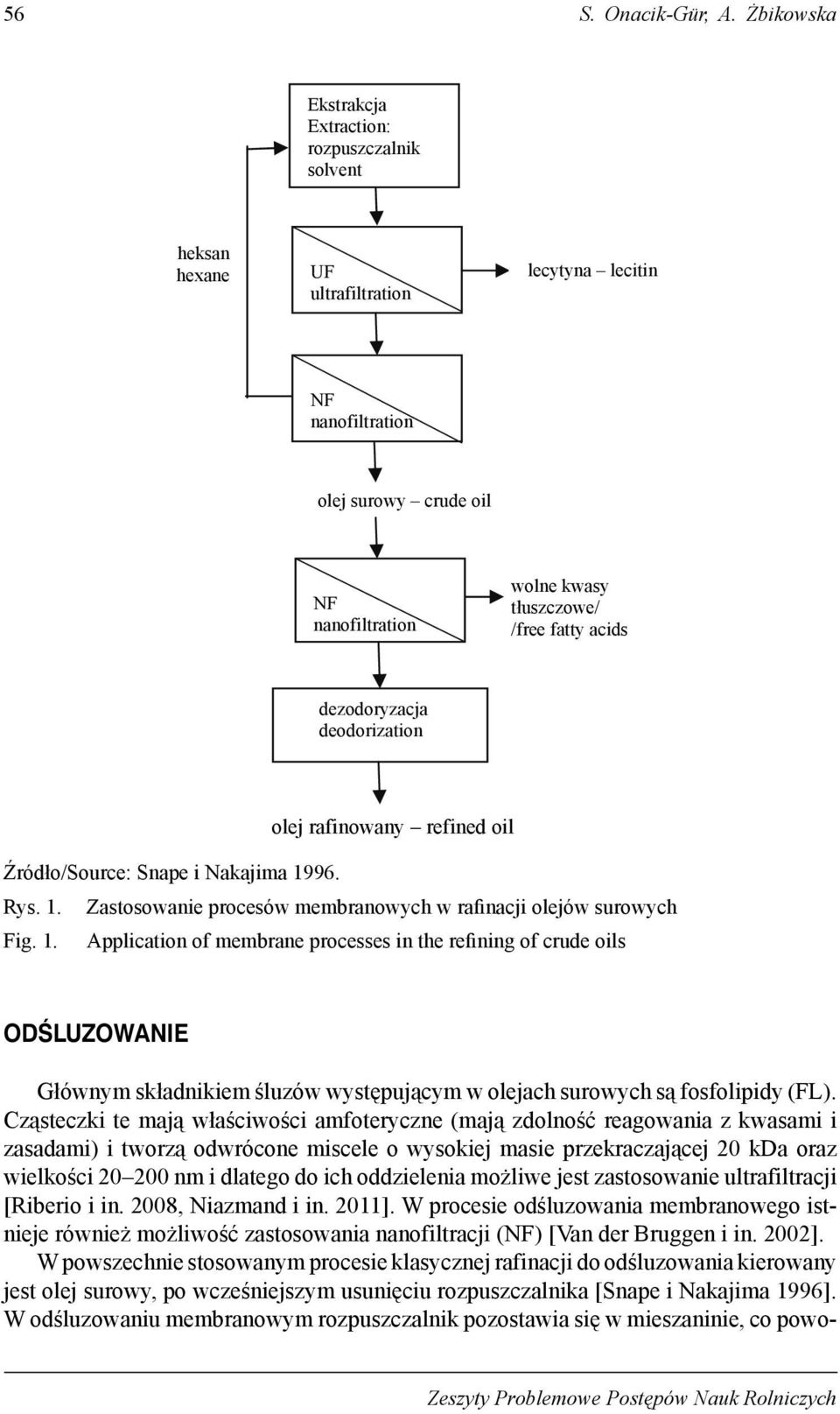 acids dezodoryzacja deodorization olej rafinowany refined oil Źródło/Source: Snape i Nakajima 19