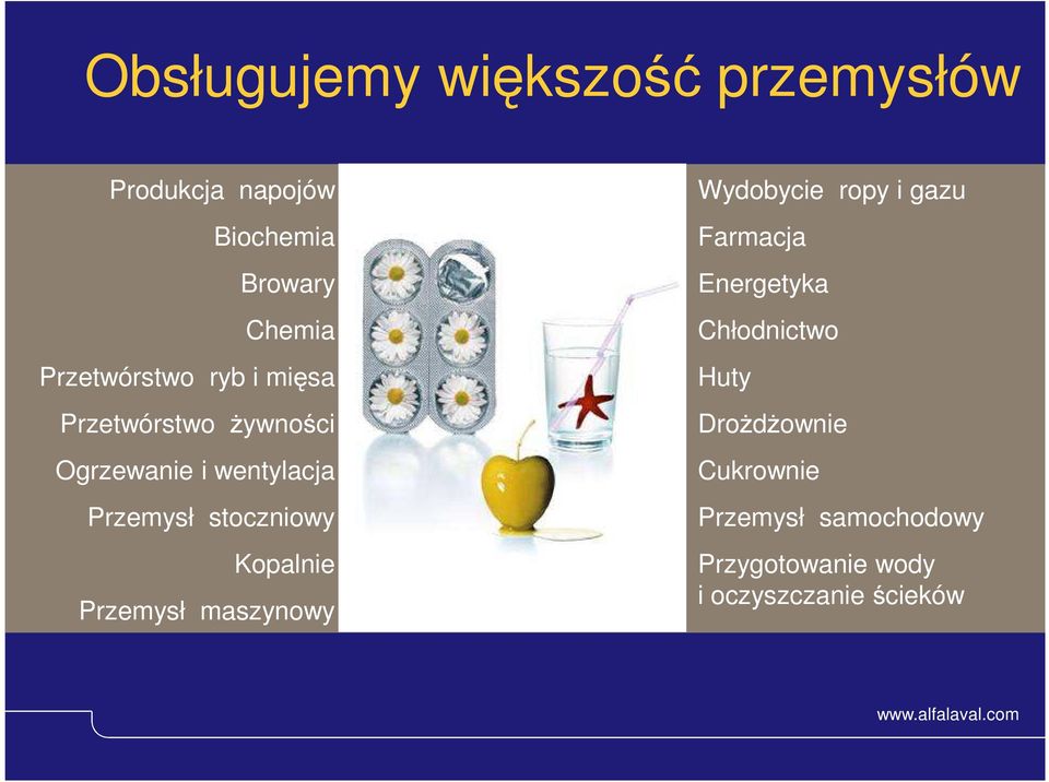 Przemysł maszynowy Wydobycie ropy i gazu Farmacja Energetyka Chłodnictwo Huty DroŜdŜownie