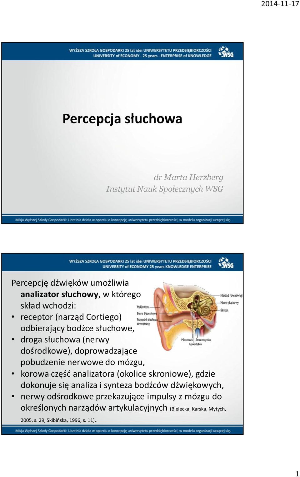 do mózgu, korowa częśd analizatora (okolice skroniowe), gdzie dokonuje się analiza i synteza bodźców dźwiękowych, nerwy odśrodkowe