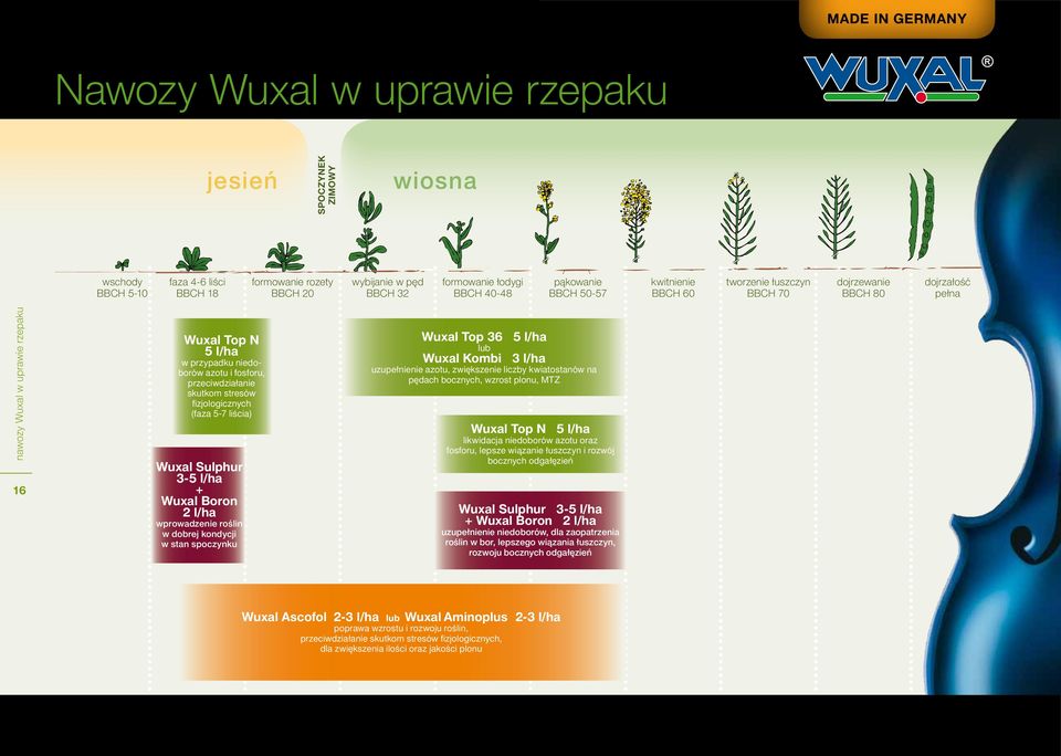 fizjologicznych (faza 5-7 liścia) Sulphur 3-5 l/ha + Boron 2 l/ha wprowadzenie roślin w dobrej kondycji w stan spoczynku Top 36 5 l/ha lub Kombi 3 l/ha uzupełnienie azotu, zwiększenie liczby