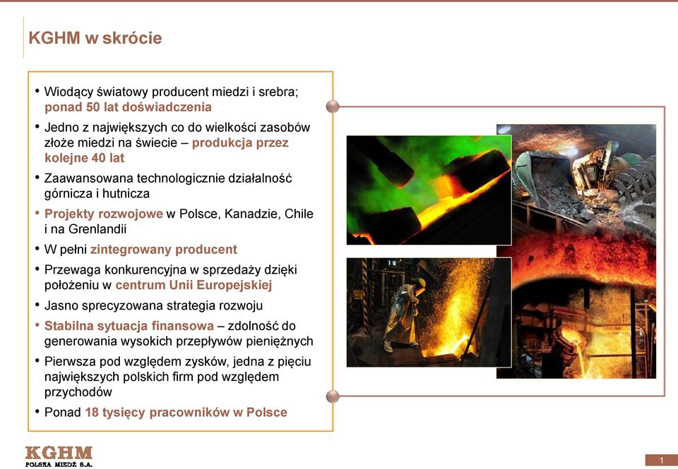 producent Przewaga konkurencyjna w sprzedaży dzięki położeniu w centrum Unii Europejskiej Jasno sprecyzowana strategia rozwoju Stabilna sytuacja finansowa zdolność do