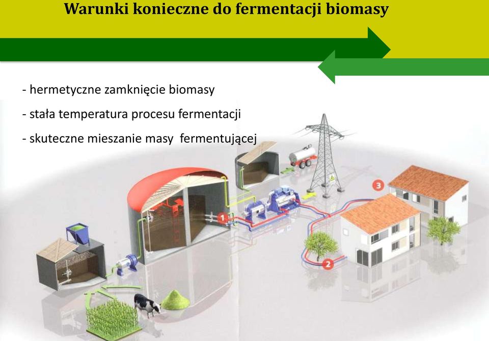 biomasy - stała temperatura procesu