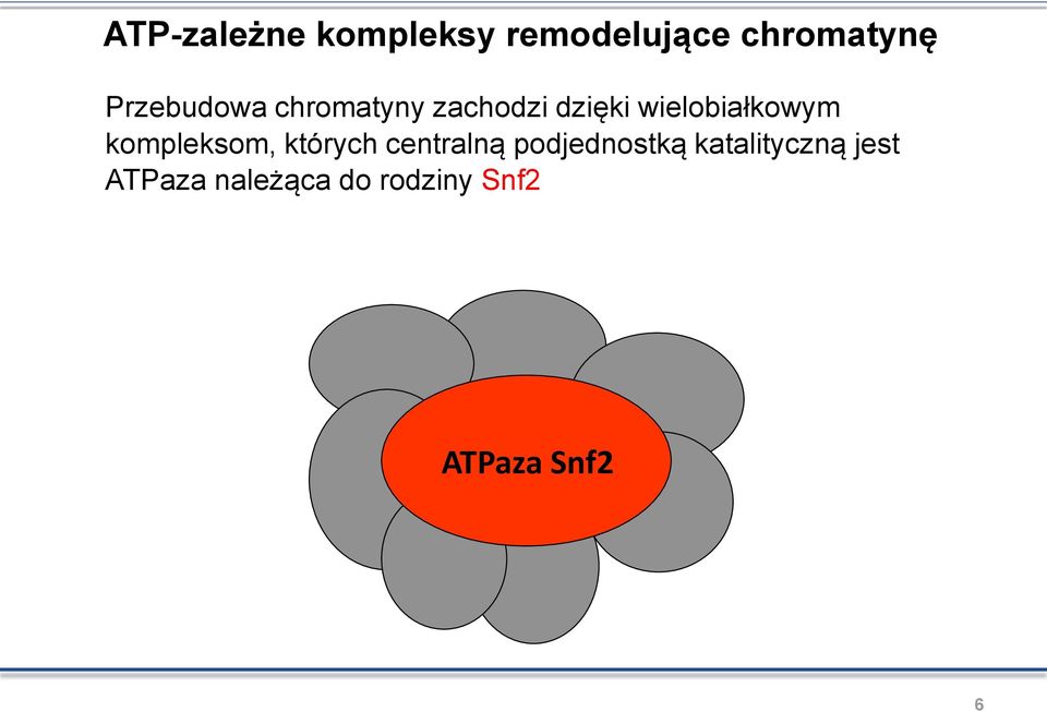 wielobiałkowym kompleksom, których centralną