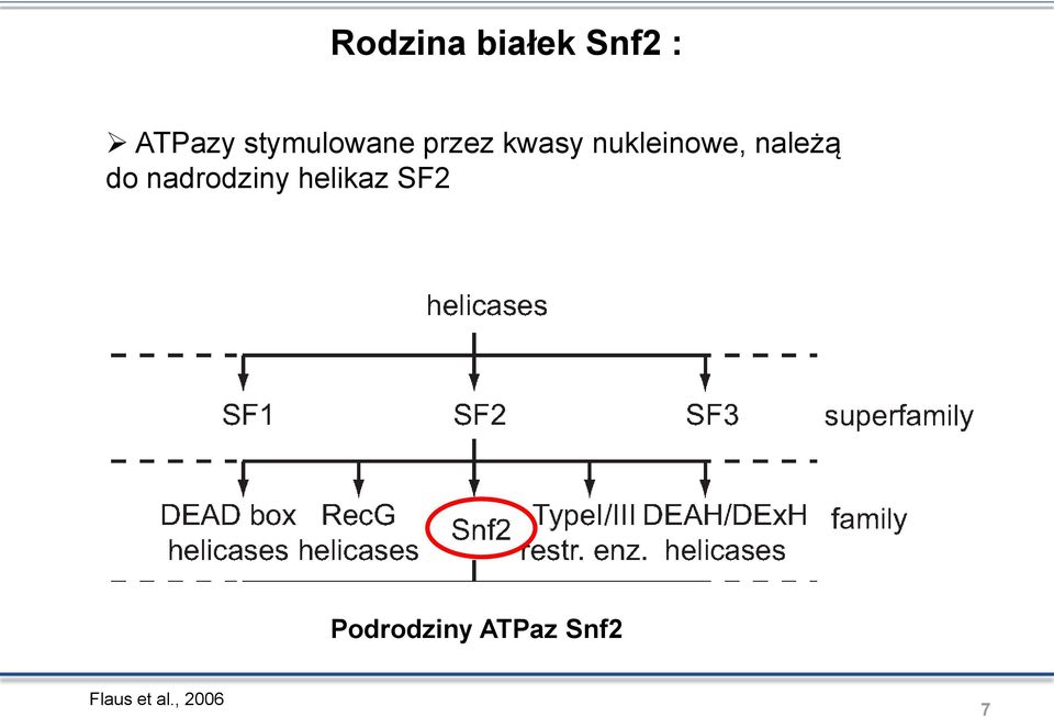 nukleinowe, należą do nadrodziny