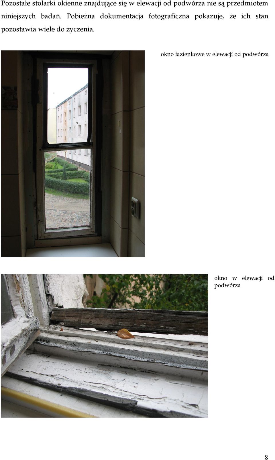 Pobieżna dokumentacja fotograficzna pokazuje, że ich stan