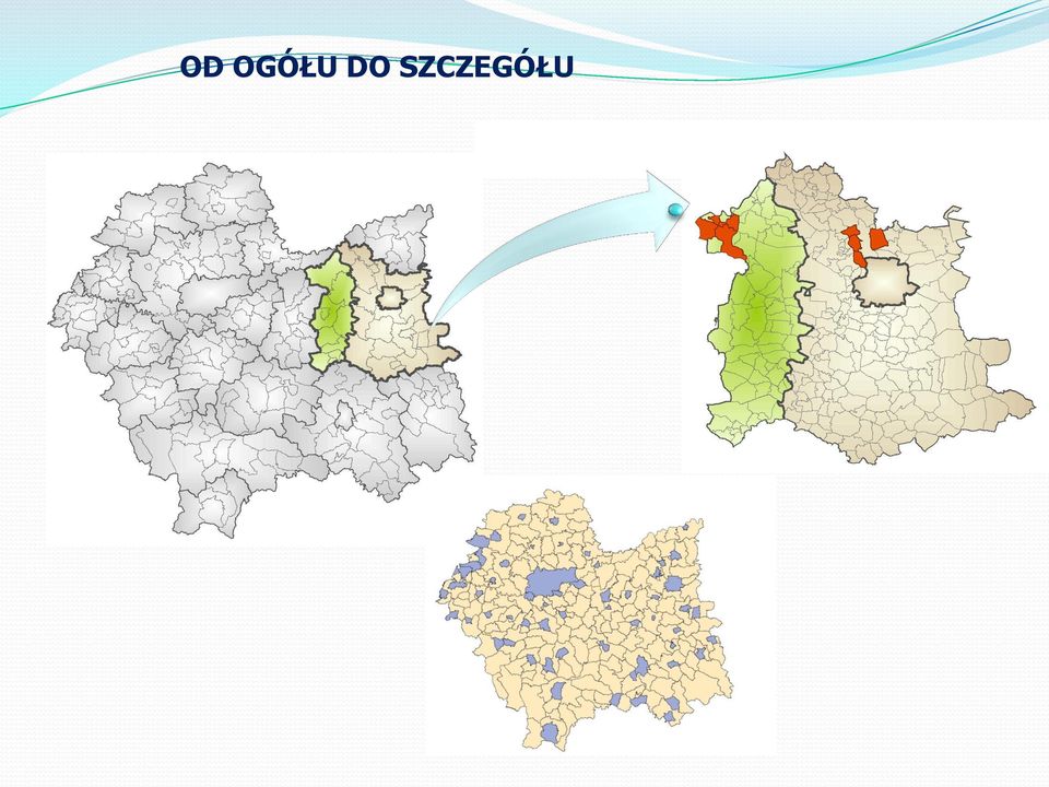 SZCZEGÓŁU