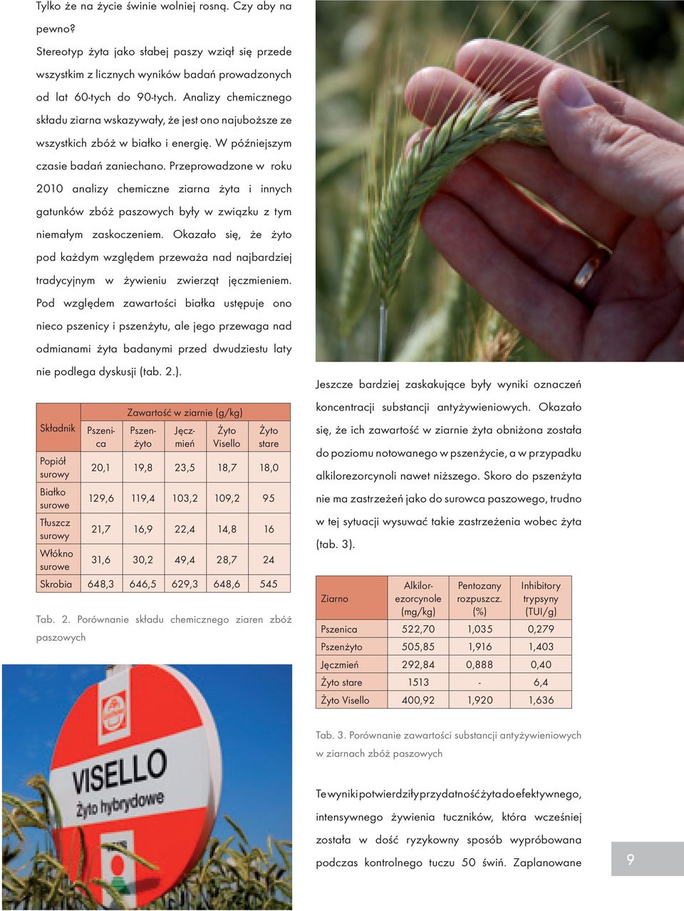 Przeprowadzone w roku 2010 analizy chemiczne ziarna żyta i innych gatunków zbóż paszowych były w związku z tym niemałym zaskoczeniem.