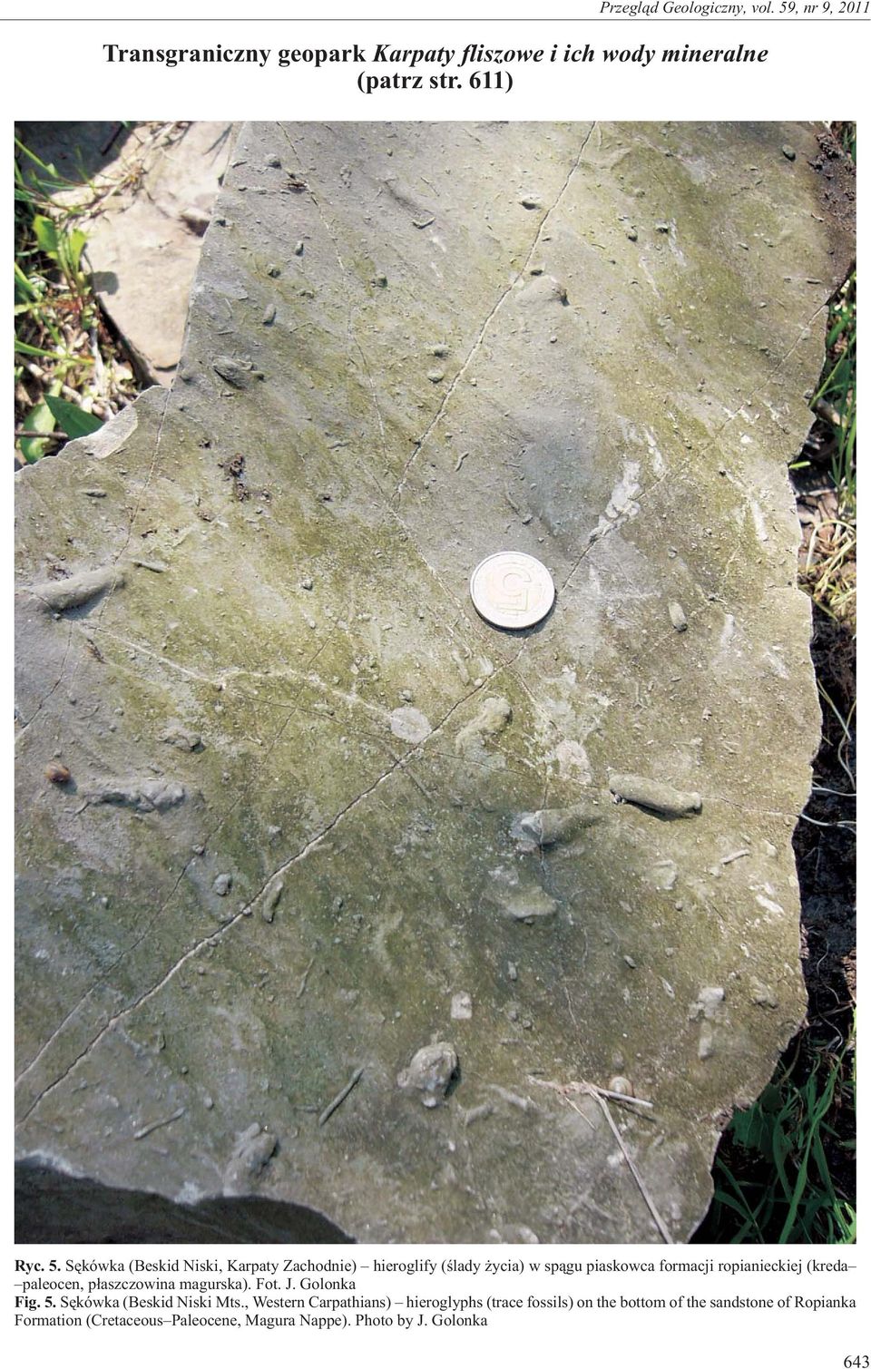 (kreda paleocen, p³aszczowina magurska). Fot. J. Golonka Fig. 5. Sêkówka (Beskid Niski Mts.