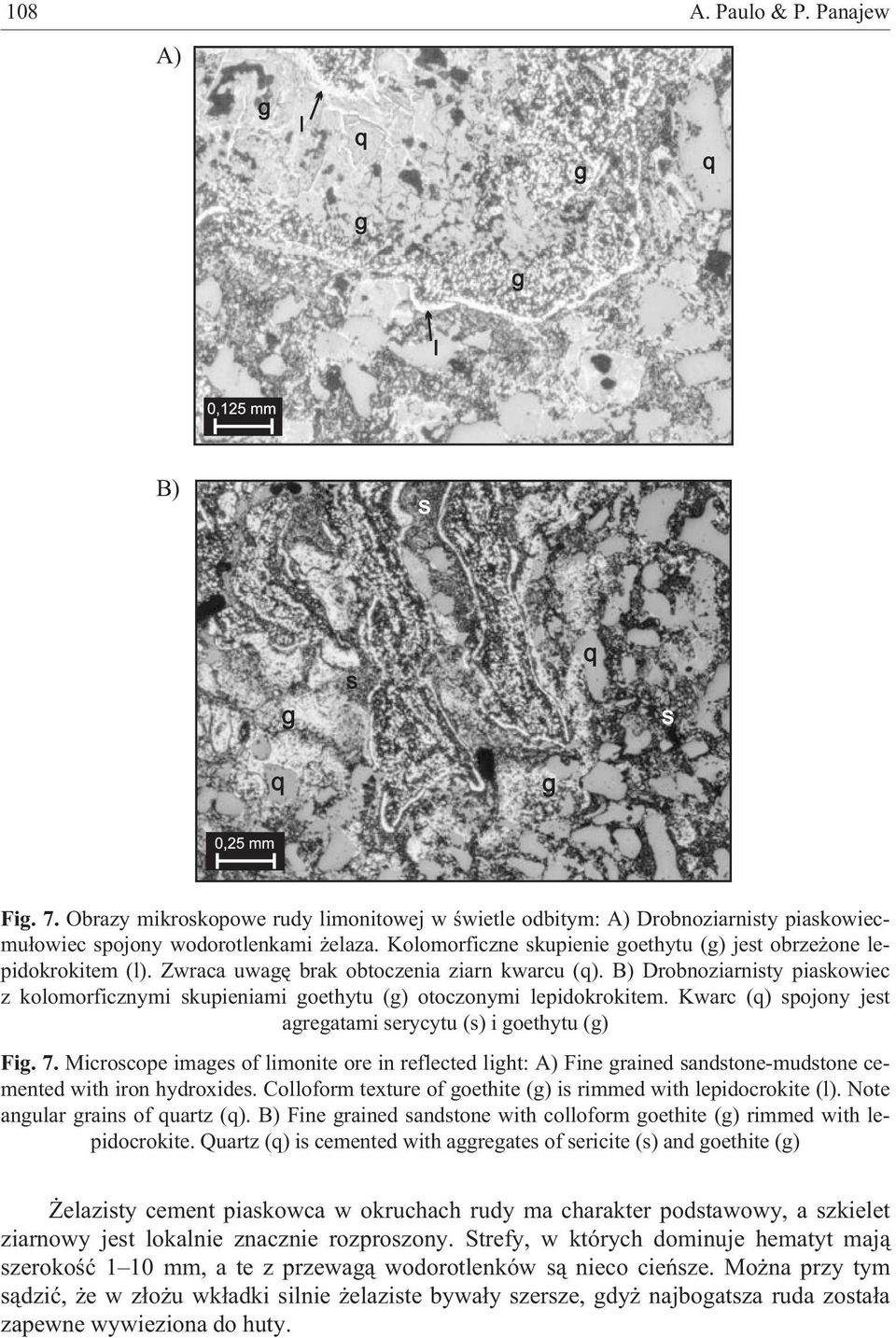 B) Drobnoziarnisty piaskowiec z kolomorficznymi skupieniami goethytu (g) otoczonymi lepidokrokitem. Kwarc (q) spojony jest agregatami serycytu (s) i goethytu (g) Fig. 7.