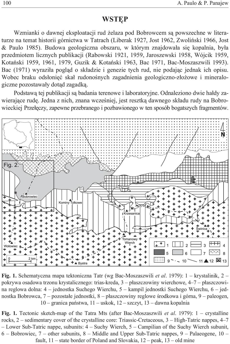 Budowa geologiczna obszaru, w którym znajdowa³a siê kopalnia, by³a przedmiotem licznych publikacji (Rabowski 1921, 1959, Jaroszewski 1958, Wójcik 1959, Kotañski 1959, 1961, 1979, Guzik & Kotañski