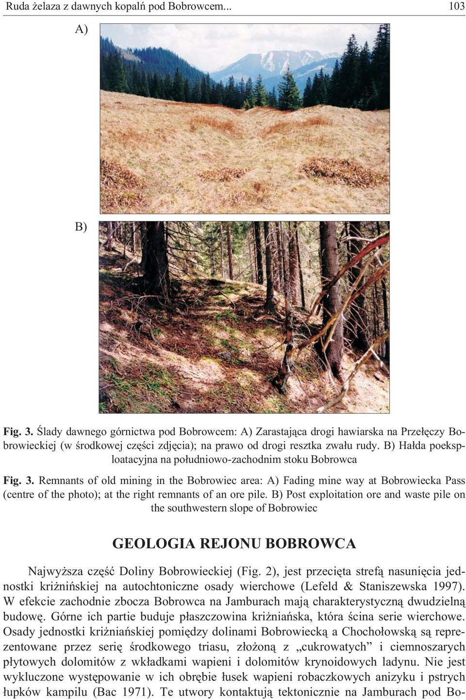 B) Ha³da poeksploatacyjna na po³udniowo-zachodnim stoku Bobrowca Fig. 3.