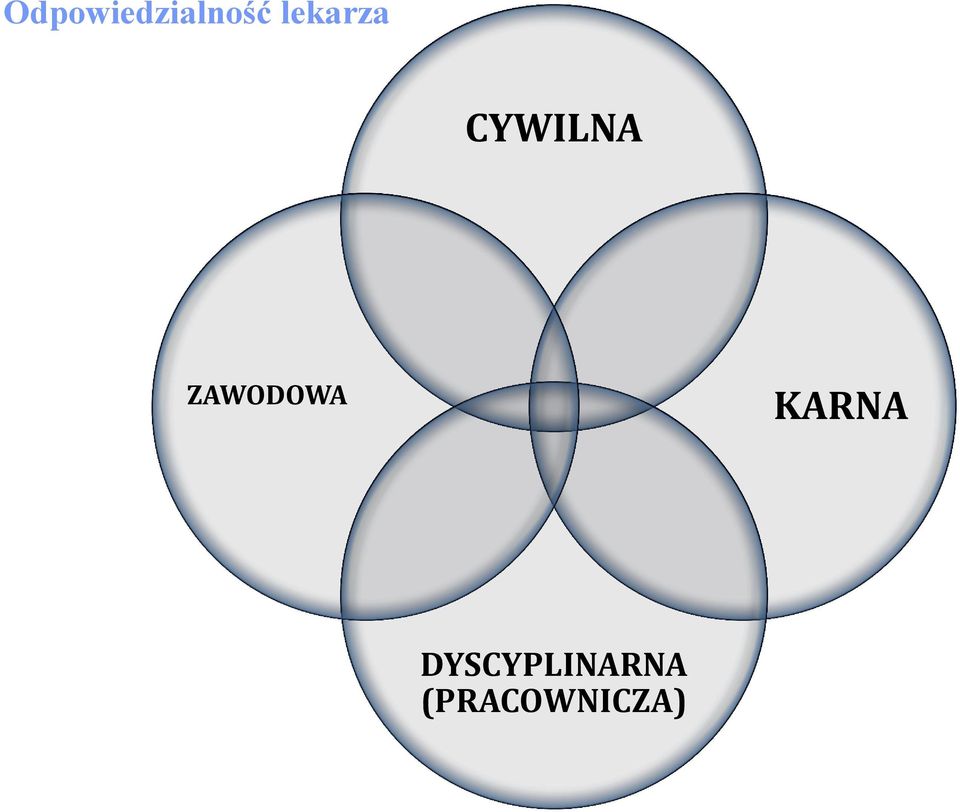 ZAWODOWA KARNA