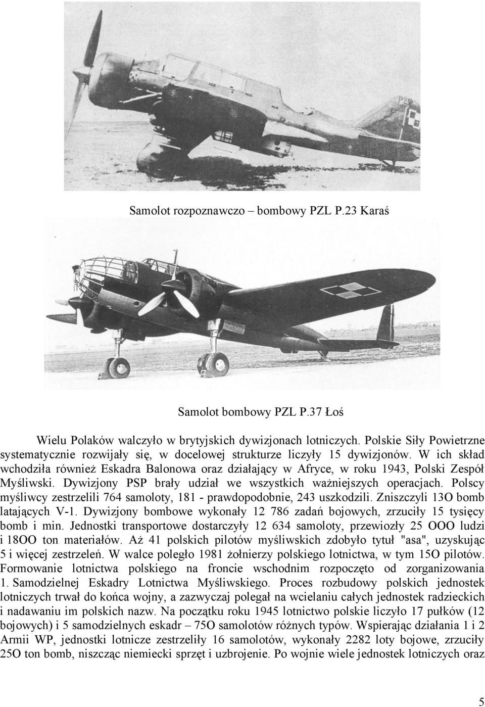 W ich skład wchodziła również Eskadra Balonowa oraz działający w Afryce, w roku 1943, Polski Zespół Myśliwski. Dywizjony PSP brały udział we wszystkich ważniejszych operacjach.