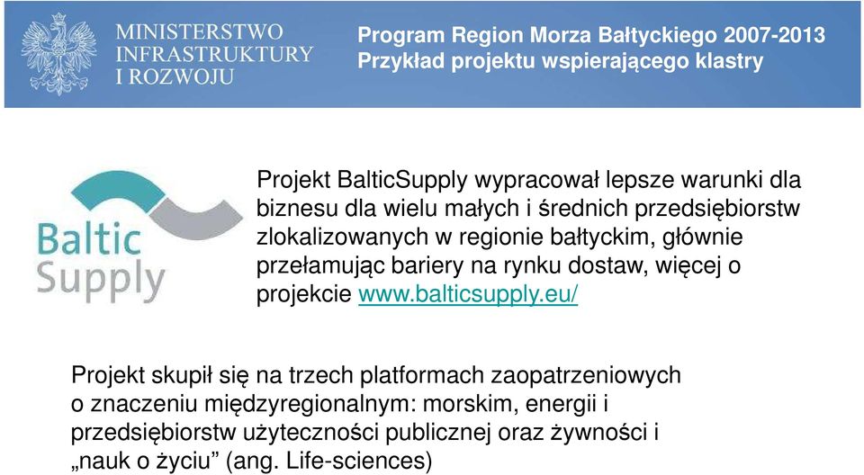bariery na rynku dostaw, więcej o projekcie www.balticsupply.