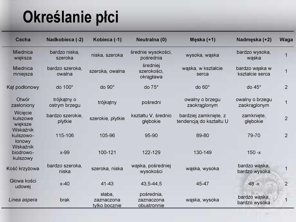 zasłoniony Wcięcie kulszowe większe Wskaźnik kulszowołonowy Wskaźnik biodrowokulszowy Kość krzyżowa Głowa kości udowej Linea aspera trójkątny o ostrym brzegu bardzo szerokie, płytkie trójkątny