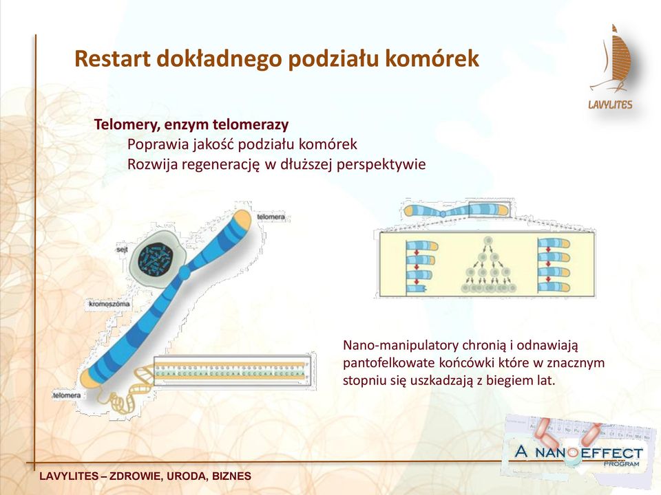 perspektywie Nano-manipulatory chronią i odnawiają