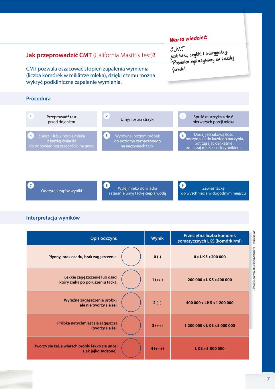 Procedura 1 Przeprowadź test 2 3 Umyj i osusz strzyki przed dojeniem Spuść ze strzyka 4 do 6 pierwszych porcji mleka 4 Zbierz 1 lub 2 porcje mleka z każdej ćwiartki 5 Wyrównaj poziom próbek do