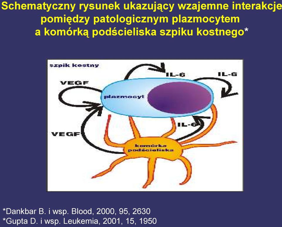 podścieliska szpiku kostnego* *Dankbar B. i wsp.