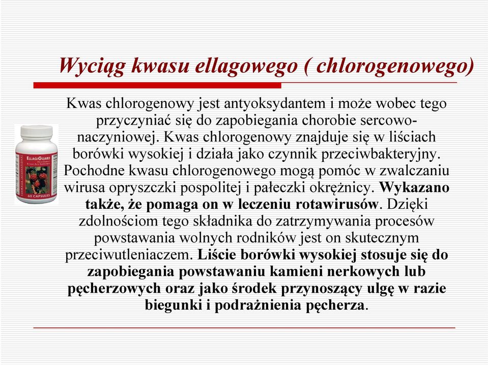 Pochodne kwasu chlorogenowego mogą pomóc w zwalczaniu wirusa opryszczki pospolitej i pałeczki okrężnicy. Wykazano także, że pomaga on w leczeniu rotawirusów.