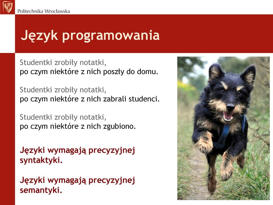 Studentki zrobiły notatki, po czym niektóre z nich zabrali studenci.