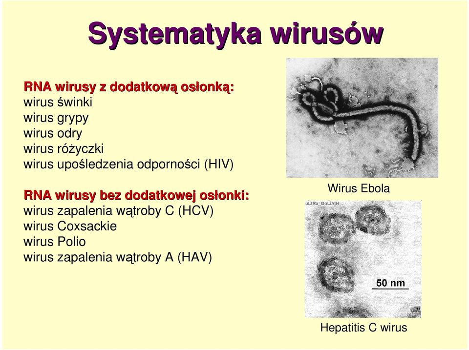 wirusy bez dodatkowej osłonki: onki: wirus zapalenia wątroby C (HCV) wirus