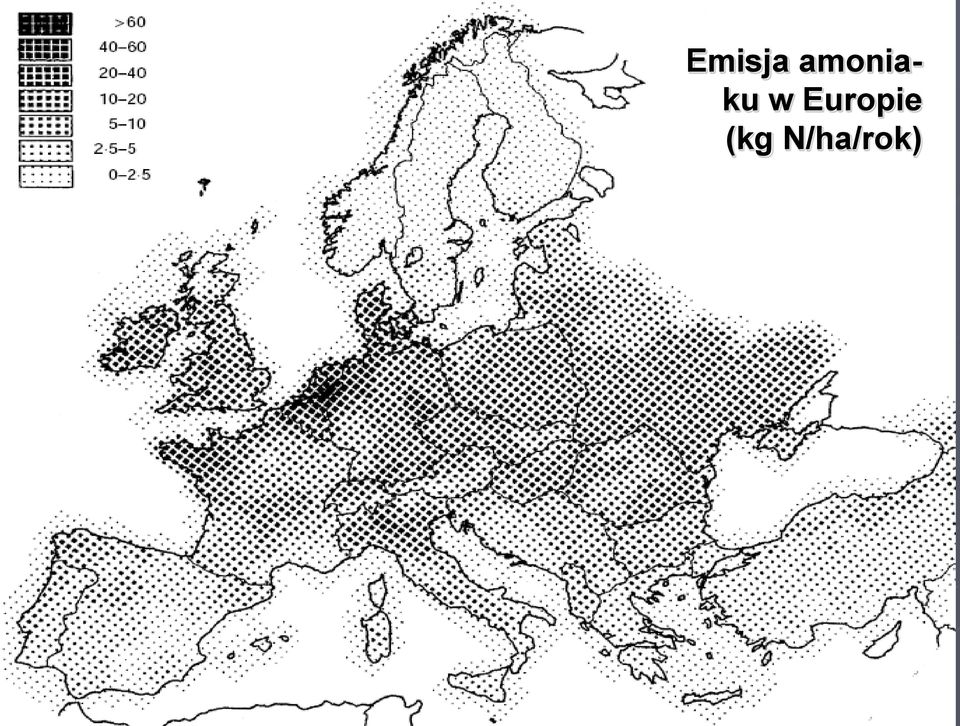 w Europie