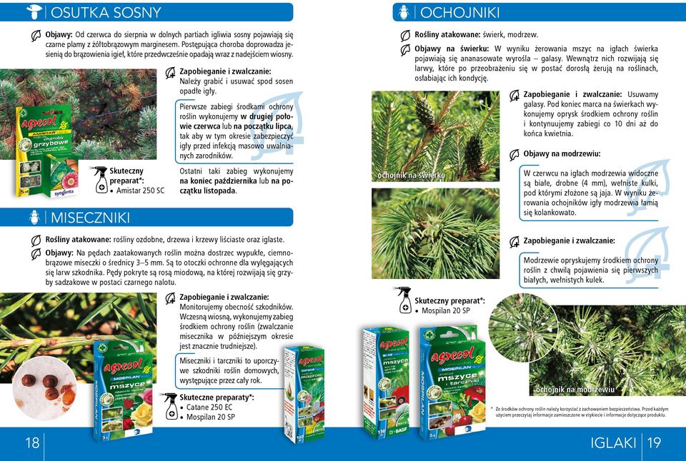 MISECZNIKI Skuteczny preparat*: Amistar 250 SC Zapobieganie i zwalczanie: Należy grabić i usuwać spod sosen opadłe igły.