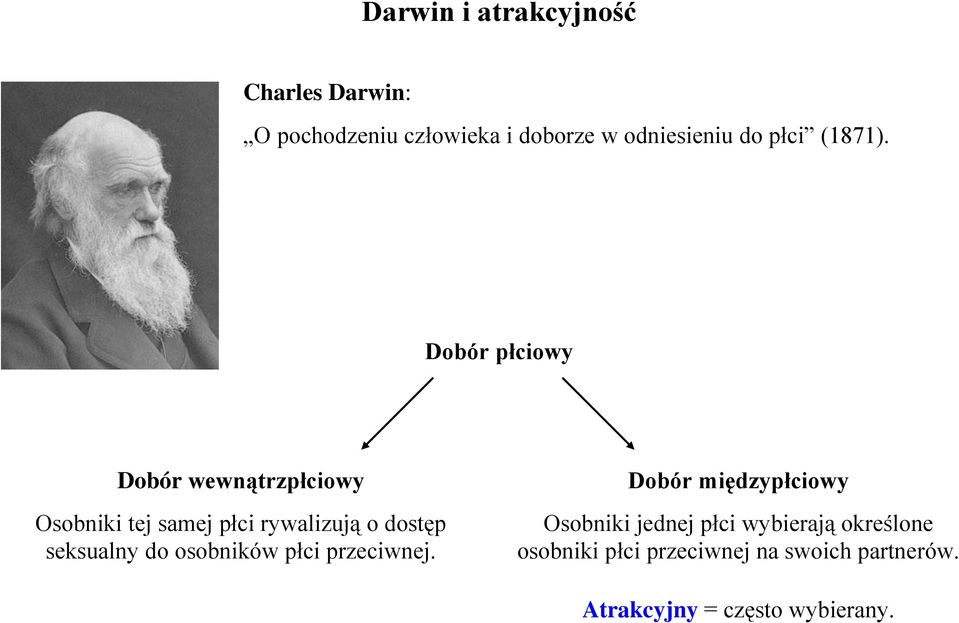 Dobór płciowy Dobór wewnątrzpłciowy Osobniki tej samej płci rywalizują o dostęp seksualny