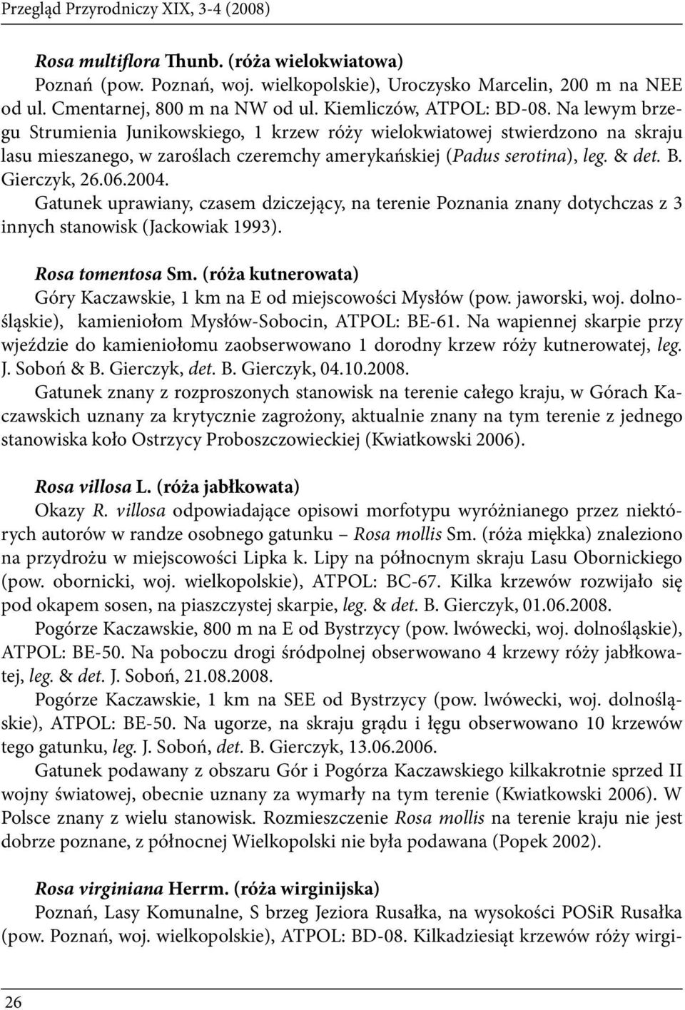 B. Gierczyk, 26.06.2004. Gatunek uprawiany, czasem dziczejący, na terenie Poznania znany dotychczas z 3 innych stanowisk (Jackowiak 1993). Rosa tomentosa Sm.