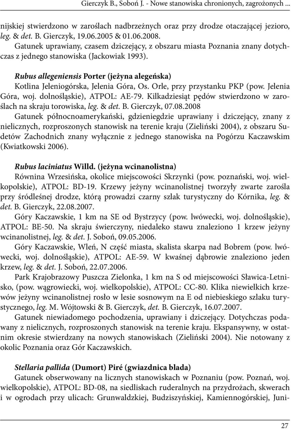 Rubus allegeniensis Porter (jeżyna alegeńska) Kotlina Jeleniogórska, Jelenia Góra, Os. Orle, przy przystanku PKP (pow. Jelenia Góra, woj. dolnośląskie), ATPOL: AE-79.