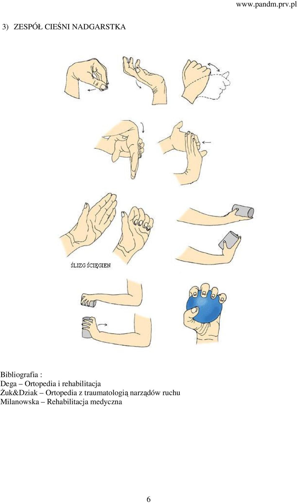 rehabilitacja Żuk&Dziak Ortopedia z