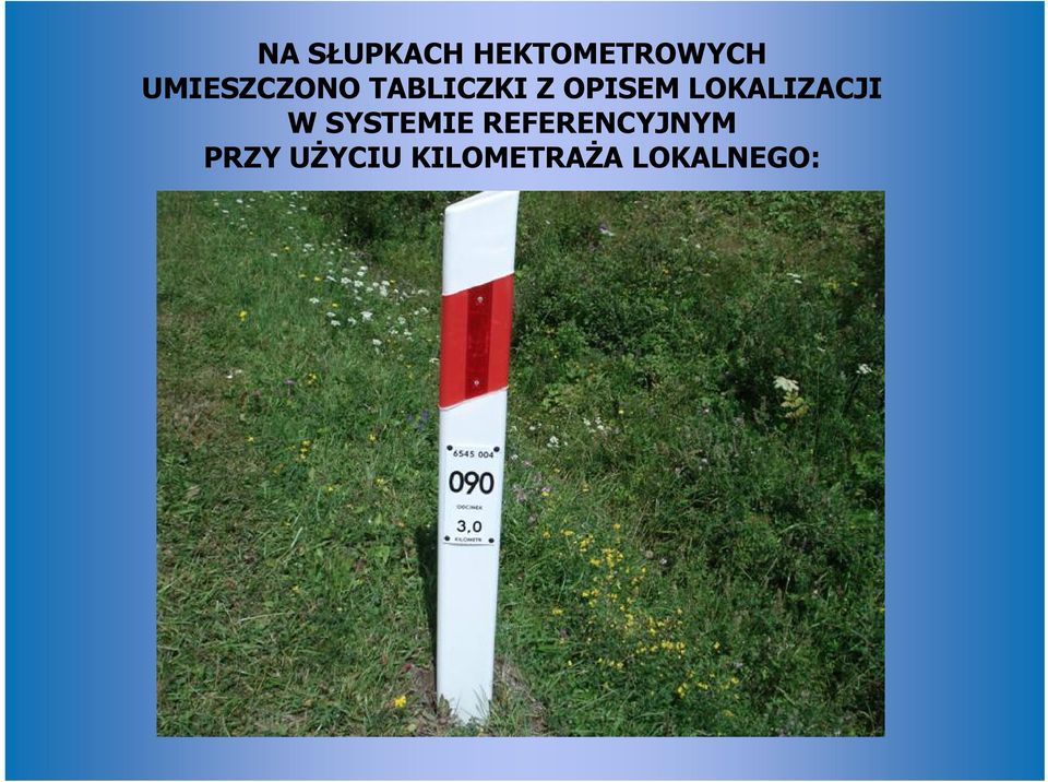 LOKALIZACJI W SYSTEMIE