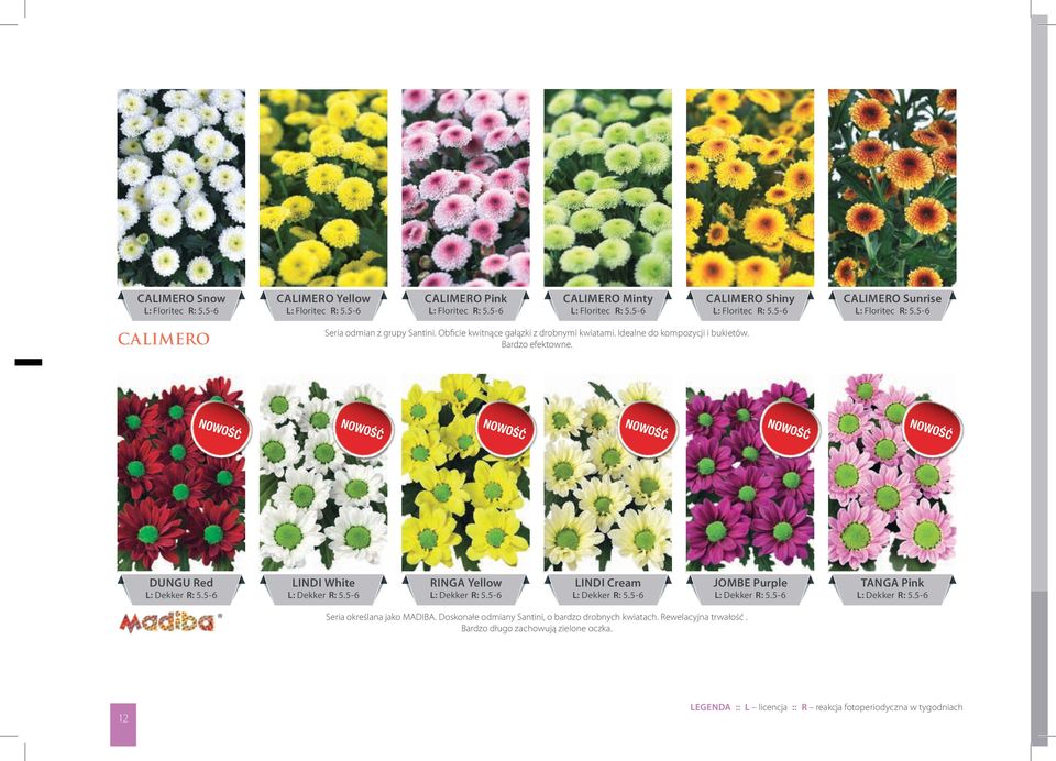 DUNGU Red L: Dekker R: 5.5-6 LINDI White L: Dekker R: 5.5-6 RINGA Yellow L: Dekker R: 5.5-6 LINDI Cream L: Dekker R: 5.5-6 JOMBE Purle L: Dekker R: 5.5-6 TANGA Pink L: Dekker R: 5.