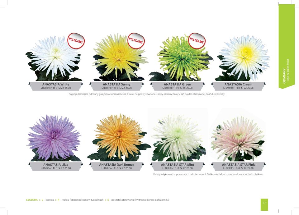 ANASTASIA Lilac L: Deliflor R: 8 S: 22-25.08 ANASTASIA Dark Bronze L: Deliflor R: 8 S: 22-25.08 ANASTASIA STAR Mint L: Deliflor R: 8 S: 22-25.